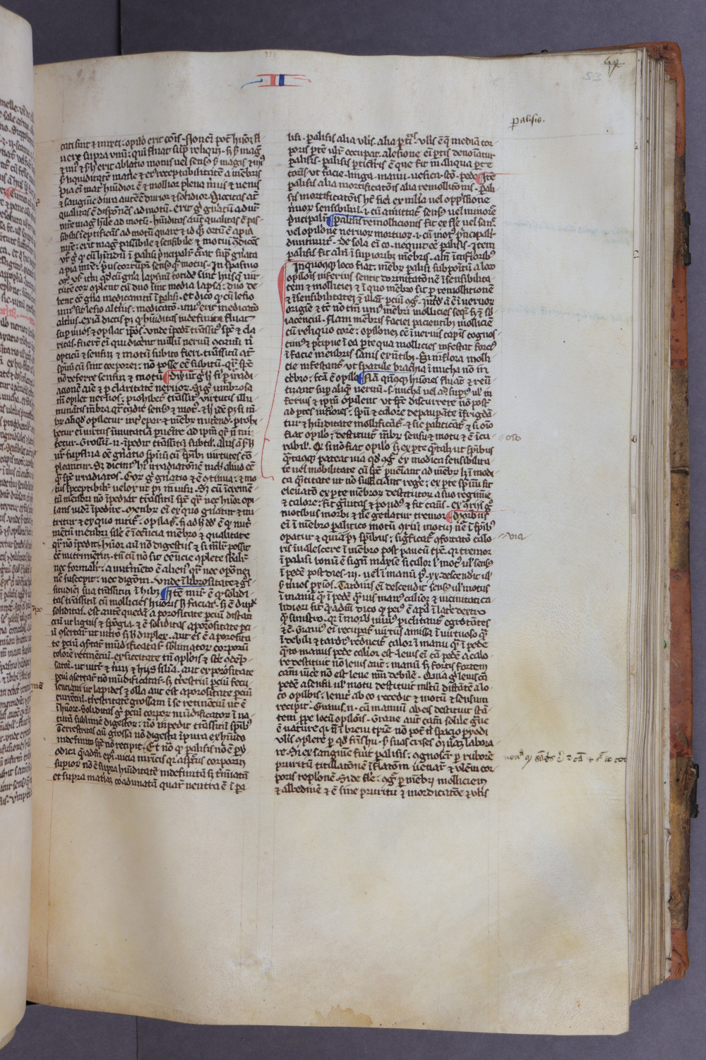 Folio 53 recto